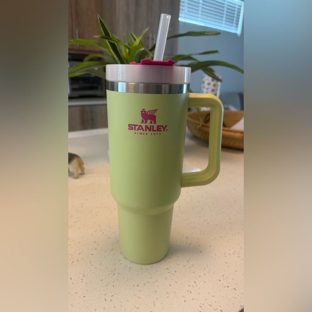 Stanley - Lime Green & Pink Travel Mug